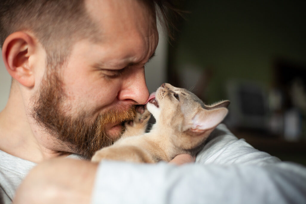 Gato e Minoxidil: Combinação muito perigosa!